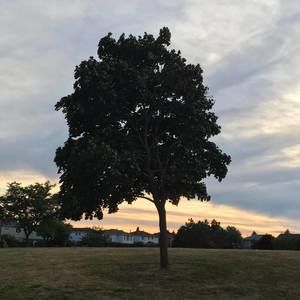 Meet your Posher, Garima